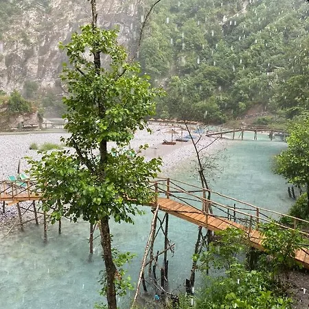 Bee Eco * Moll' e Shoshit