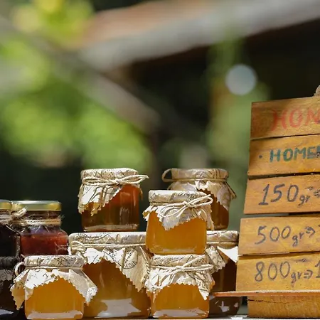 Bee Eco Gasthof