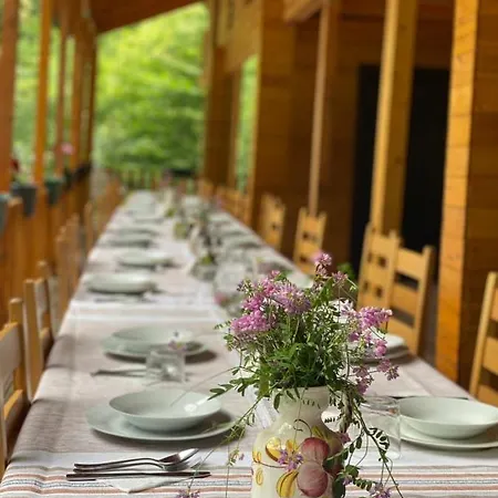 Affittacamere Bee Eco Moll' e Shoshit