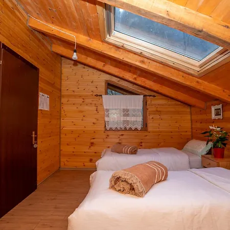 Bee Eco * Moll' e Shoshit