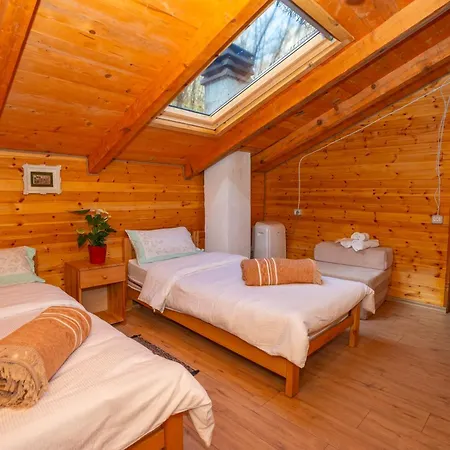 Bee Eco * Moll' e Shoshit