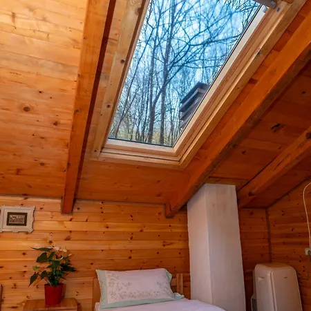 Bee Eco Moll' e Shoshit