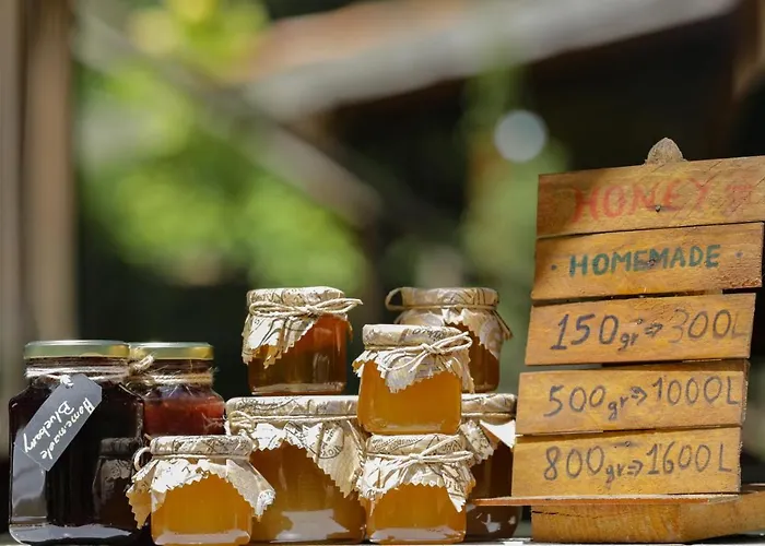 Bee Eco Penzion