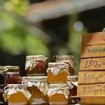 Bee Eco Pensionat