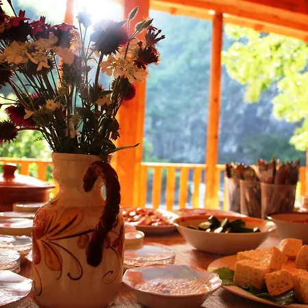 Bee Eco Moll' e Shoshit