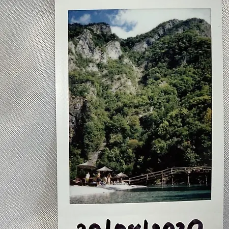 Bee Eco * Moll' e Shoshit