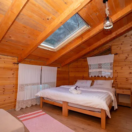 Bee Eco Gasthof Moll' e Shoshit