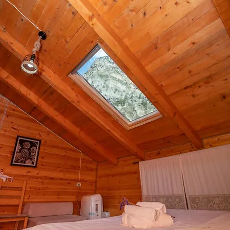 Maison d'hôtes Bee Eco *