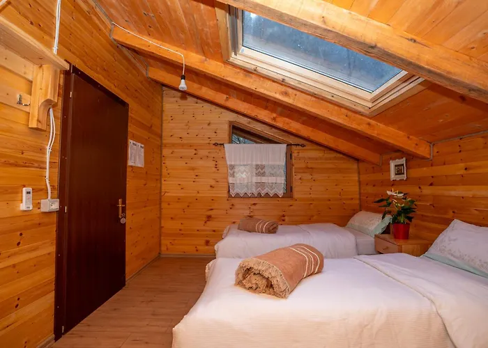 Bee Eco * Moll' e Shoshit