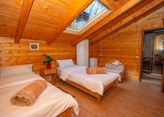 Bee Eco * Moll' e Shoshit